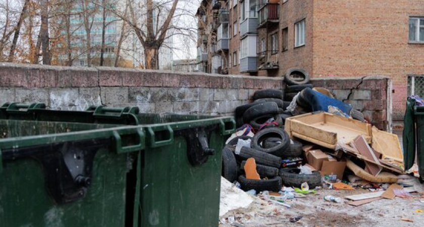 Никто не захотел вывозить мусор в Приморье за 117 миллионов