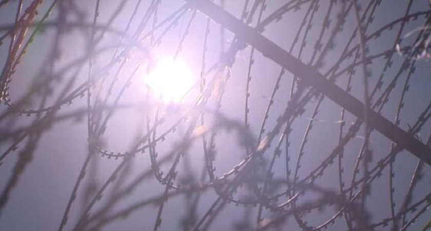 Пять лет колонии за попытку откупиться от полиции