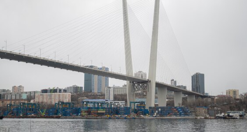 Директор Центра предпринимательства Владивостока ушла после 12 лет работы