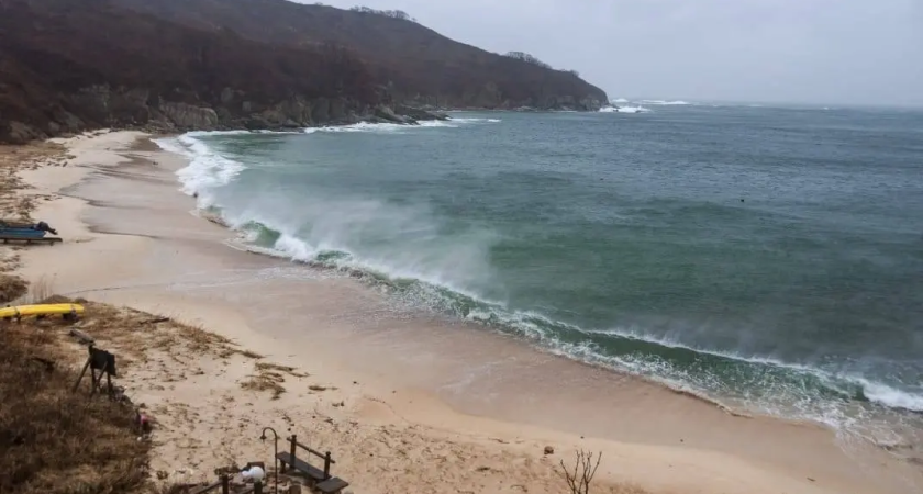 ИИ встал на защиту редчайших птиц от браконьеров на острове Фуругельма