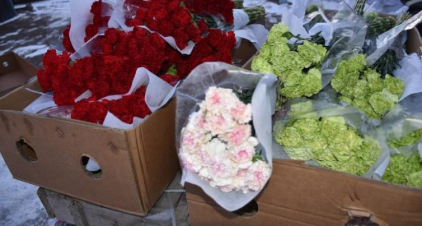 283 тысячи цветов из Китая заражены опасным вредителем