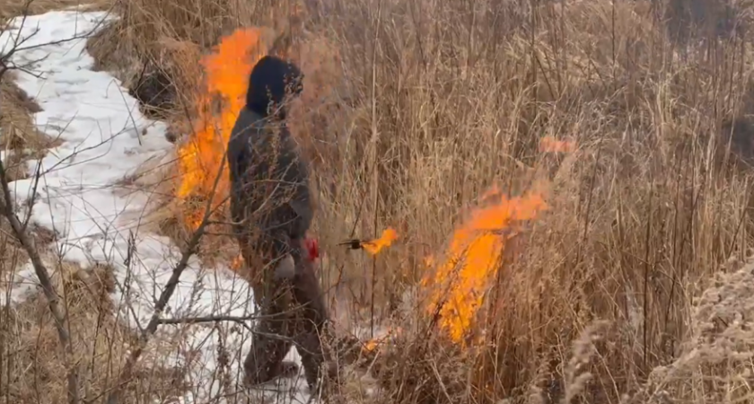 В Приморье поджигают леса, чтобы спасти дома от огня