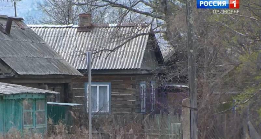 Редчайший дальневосточный леопард из Красной книги забрался к людям