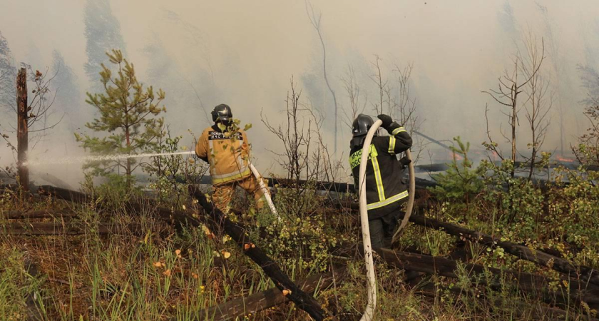 Пожар в Приморье виден из Владивостока через весь залив