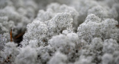 Первый снег и заморозки накроют Приморье в ночь с 7 на 8 октября
