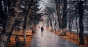 Приморье ждут заморозки до +3°C и штормовой ветер с дождями