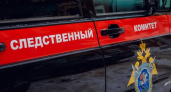 СКР проверяет школу во Владивостоке, где осыпающаяся плитка угрожает детям и прохожим