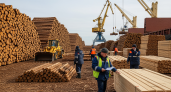 Приморский лес рванул в Китай: экспорт подскочил на 25% до 132,7 тысяч кубометров