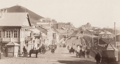 Битва гаваней 1860-х: как казачьи посты и отсутствие дорог решили судьбу столицы Приморья