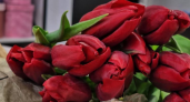 Почти полмиллиона цветов из Китая: Приморье побило рекорд поставок ко Дню Матери