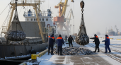 550 судов за 10 месяцев: причалы Приморья переработали рекордные 414 тысяч тонн рыбы