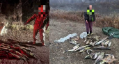 В Приморье изъяли 5 тонн рыбы и 1000 орудий лова: итоги операции «Путина-2025»