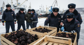 Организованная группа контрабандила морских ежей на 107 млн рублей за пять лет