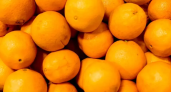 5,7 тыс. тонн мандаринов: Приморье готовится к праздникам рекордным импортом