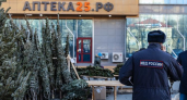 Владивостокские полицейские выловили нелегальных елочников у «Березки»