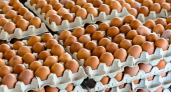 Приморье обогнало страну инфляцией: яйца взлетели на 7,3% в год