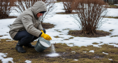 Мороз еще держит, но грядки уже спасены: азиатский рецепт из трех компонентов защищает участок на месяц с половиной