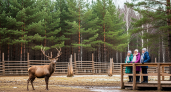 63 млн рублей на целебные пантовые ванны: в Приморье откроют уникальную мараловую ферму с банным комплексом