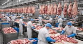 Приморье нарастило производство мяса на 114 тысяч тонн после эпидемии
