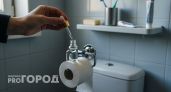 Втулка от туалетной бумаги превращается в мощный ароматизатор который работает месяцами без замены