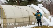 Опытные дачники знают секрет как растопить снег в теплице без лопаты за одну ночь