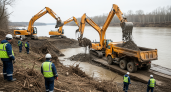 Рыба вернулась в реку Объяснения после расчистки тысячи кубометров грунта