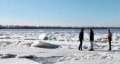 Ледоход в Приморье начнется на шесть дней раньше обычного
