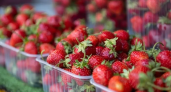Приморье импортировало 1144 тонны китайской клубники за год