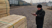 91 кубометр липы без документов: таможенники остановили экспорт в Китай