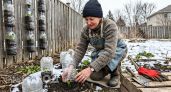 За зиму накапливаю гору пластиковых бутылок, а весной они заменяют мне дорогие приспособления для дачи