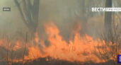 В Приморье горят 620 гектаров: авиация брошена на тушение лесов