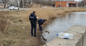 Массовая гибель рыбы у автовокзала Партизанска попала в прицел прокуроров