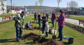 В Приморье высадят 240 тысяч растений — Сады памяти получат 600 саженцев