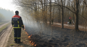 Четыре пожара за один день: 30 га сгорело в Приморье по вине людей