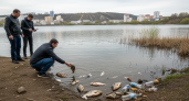 Прокуратура взяла под контроль гибель рыбы в озере Партизанска