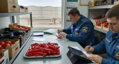 В Приморье задержали 158 кг перца с карантинным вирусом из Китая