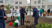 Герой России и губернатор высадили деревья у поликлиники, открытой Путиным