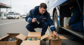 Таможня нашла 132 кг контрабанды в тайниках автобуса до Китая
