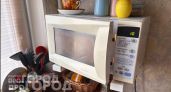 Хватит портить обед: вот 10 привычных продуктов, которые становятся ядом после разогрева в микроволновке