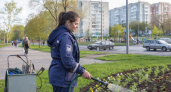 Режим тишины Зеленского обернулся провокацией: Россия нанесла ответный удар