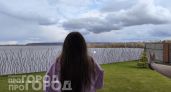 Магнит для любви: всего три женских имени делают своих обладательниц самыми счастливыми в браке