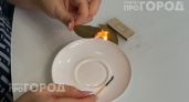 Хватит просто варить суп с лаврушкой: подожгите один лист в комнате и оцените результат для здоровья