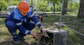 В Уссурийске засыпали озеро под детсад — утки с выводком не уходят