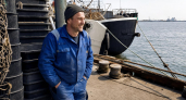 Уставший тюлень прицепился к канатам судна и развеселил моряков Владивостока