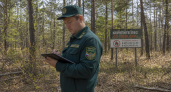 Особый противопожарный режим в Приморье охватил уже третий округ