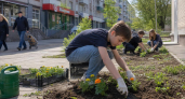 Школьники Приморья могут подать заявку на летнюю работу до 29 мая