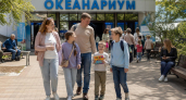 Многодетные семьи Приморья с 1 мая получают выплаты на культпоход — без заявлений
