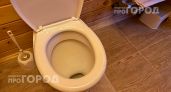Перестаньте смывать воду с открытой крышкой: вы ежедневно превращаете свою ванную комнату в зону бактерий