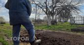 Забудьте про тяжелую лопату на даче: этот простой прием делает почву рыхлой и мягкой без лишних усилий