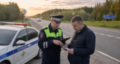 Водитель Toyota Prius погиб под Лесозаводском: ехал без ремня безопасности